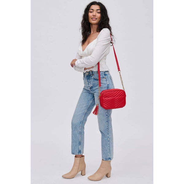 Elodie Chevron Camera Bag Crossbody: Natural