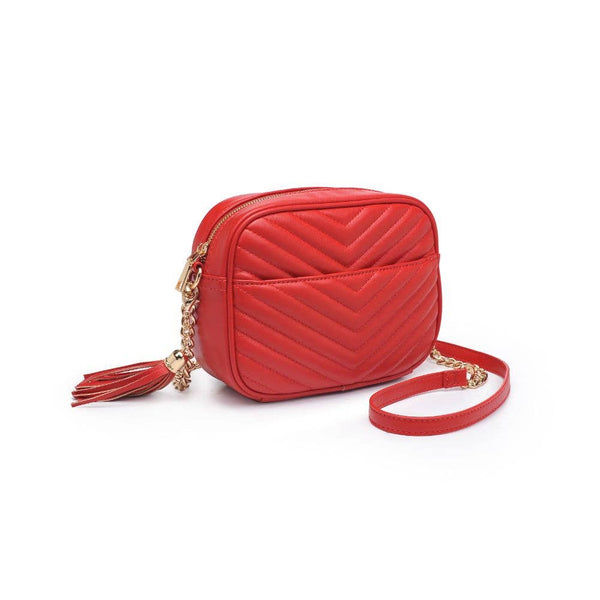 Elodie Chevron Camera Bag Crossbody: Natural