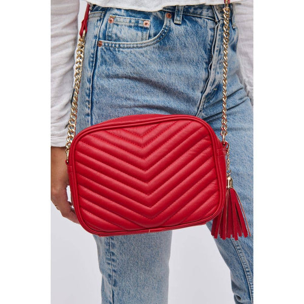 Elodie Chevron Camera Bag Crossbody: Natural