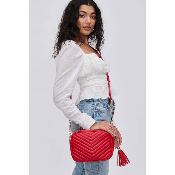 Elodie Chevron Camera Bag Crossbody: Natural
