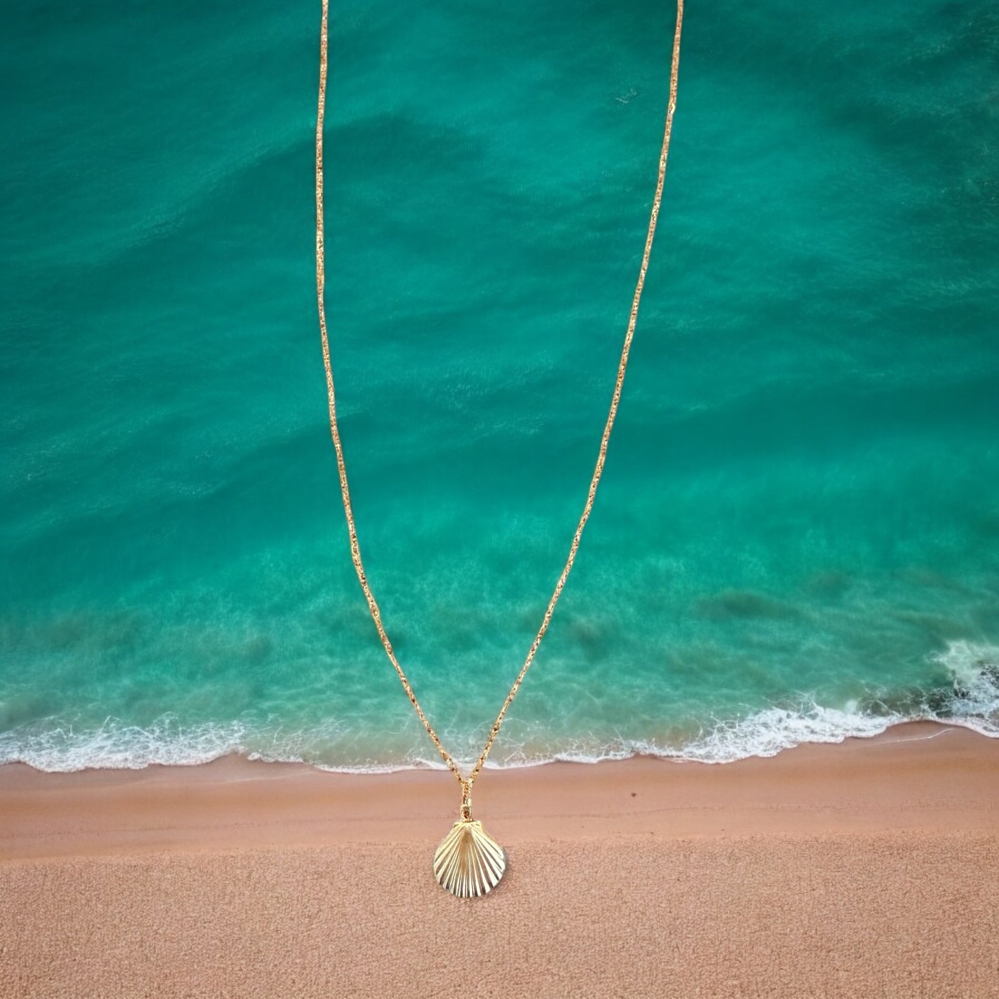 Every Seashell Has a Story