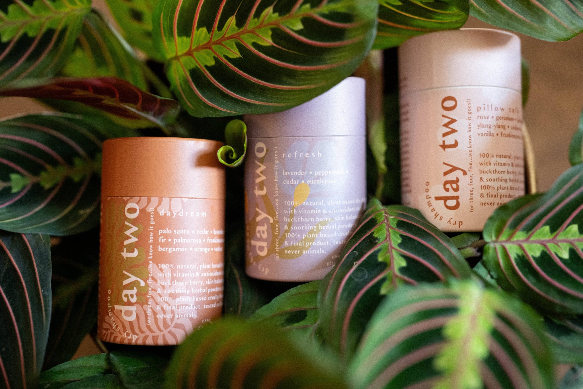 Day Two Natural Dry Shampoo: DAYDREAM